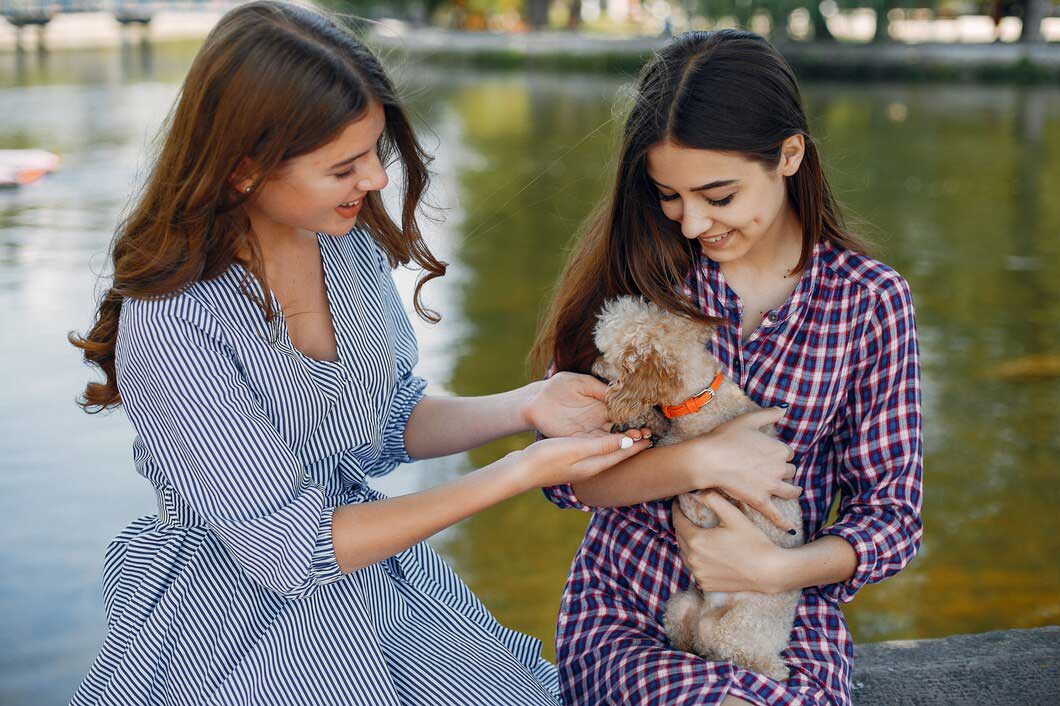 Know When Your Pet Needs Additional Care