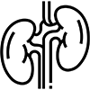 Kidney disease Icon