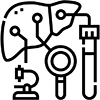 Liver Tests Icon