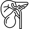 Liver disease Icon