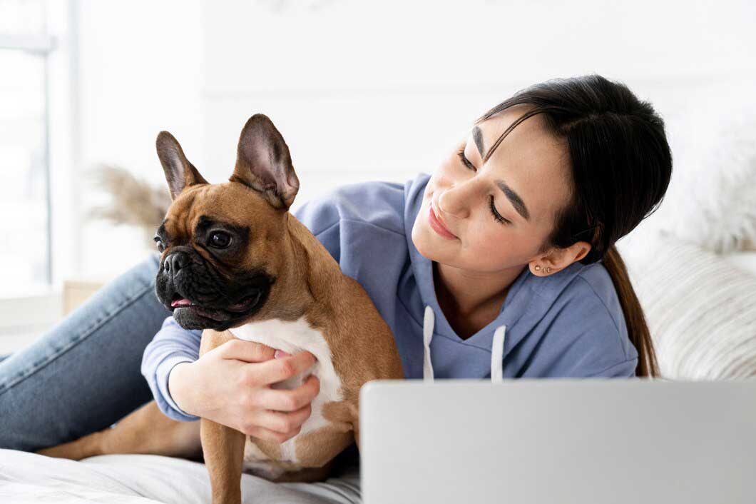 Pet telehealth-1