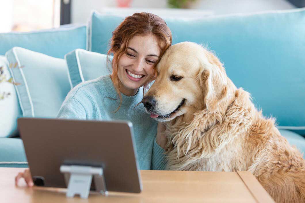 Dog doctor online-1