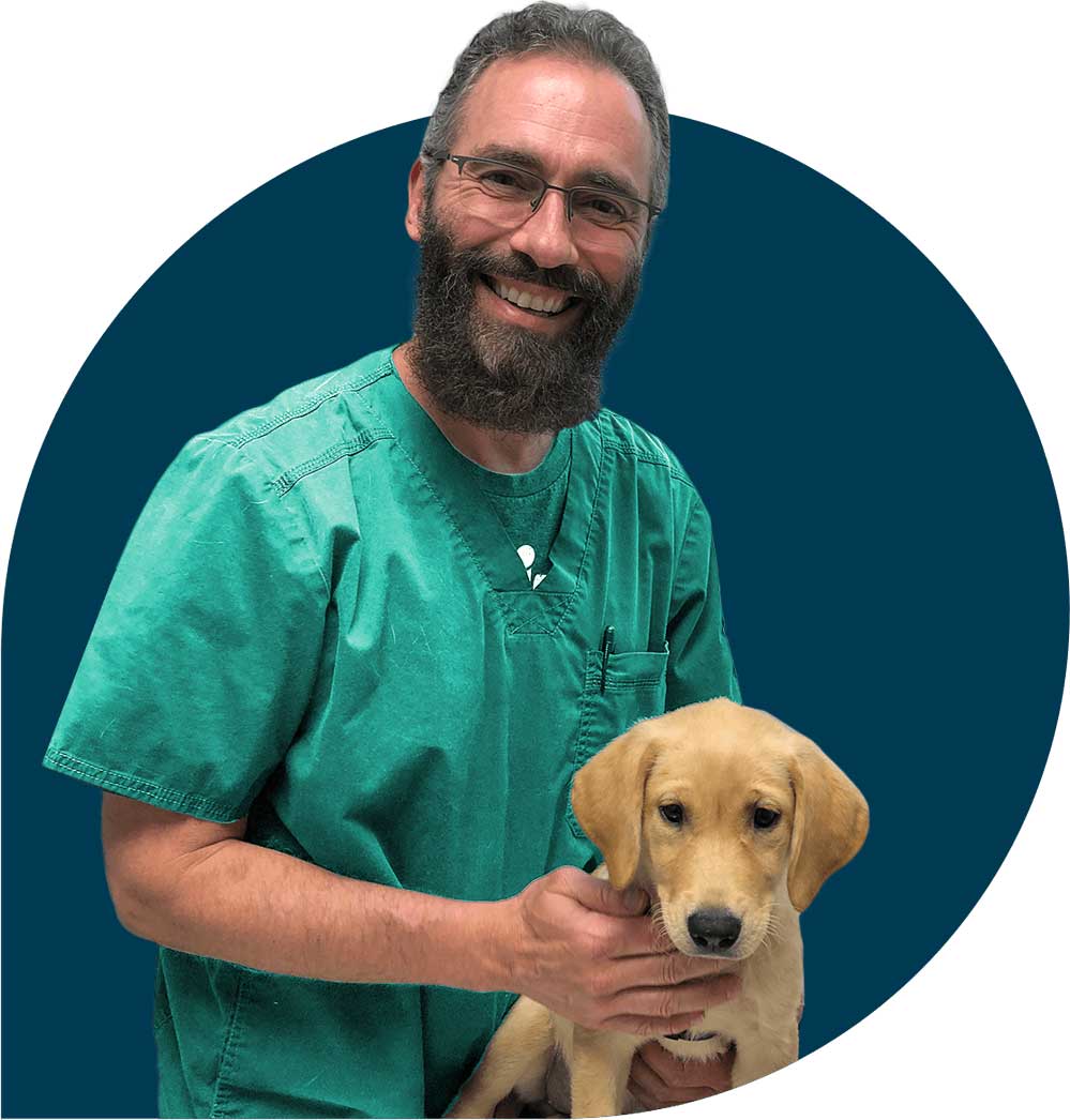 Pet doctor online-1