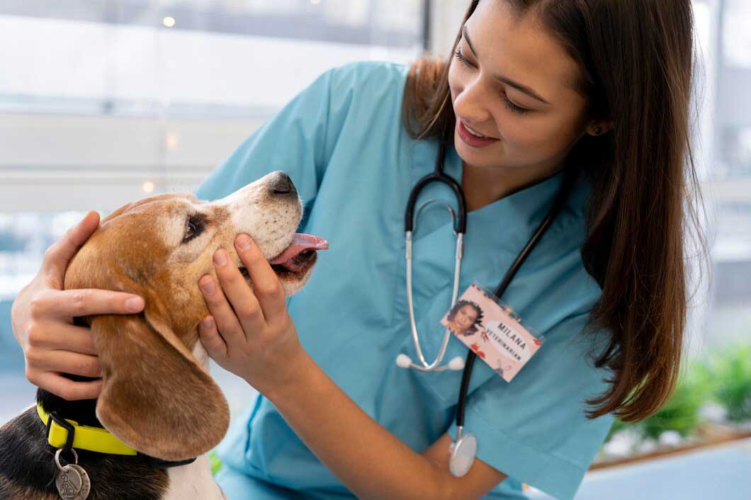 Pet healthcare-0