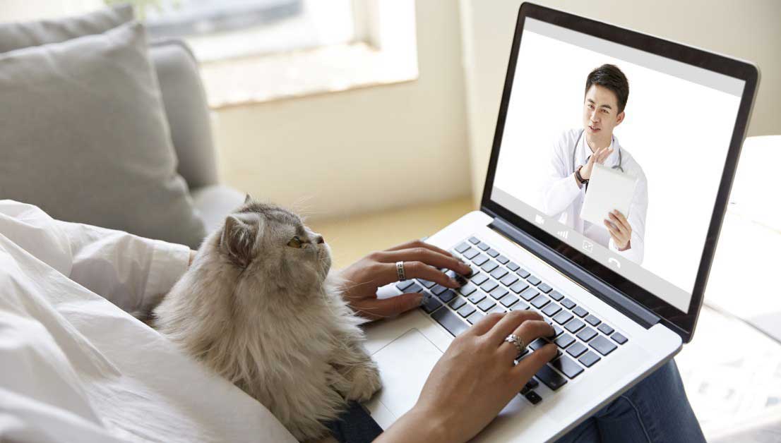 Pet telehealth-0
