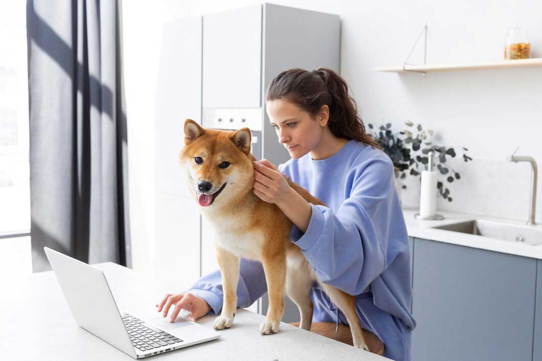 Dog doctor online-2